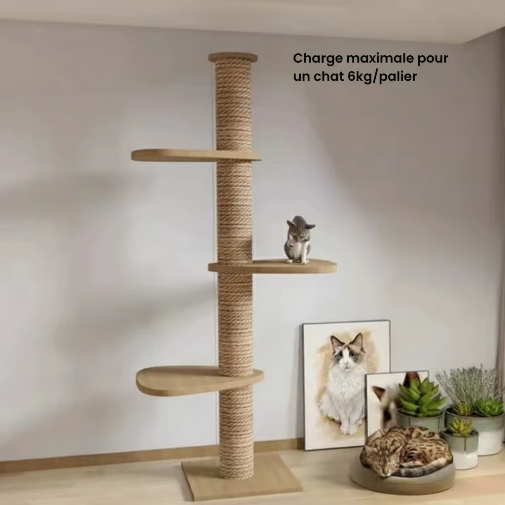 Arbre à chat : Le Poteau SkyLuxe
