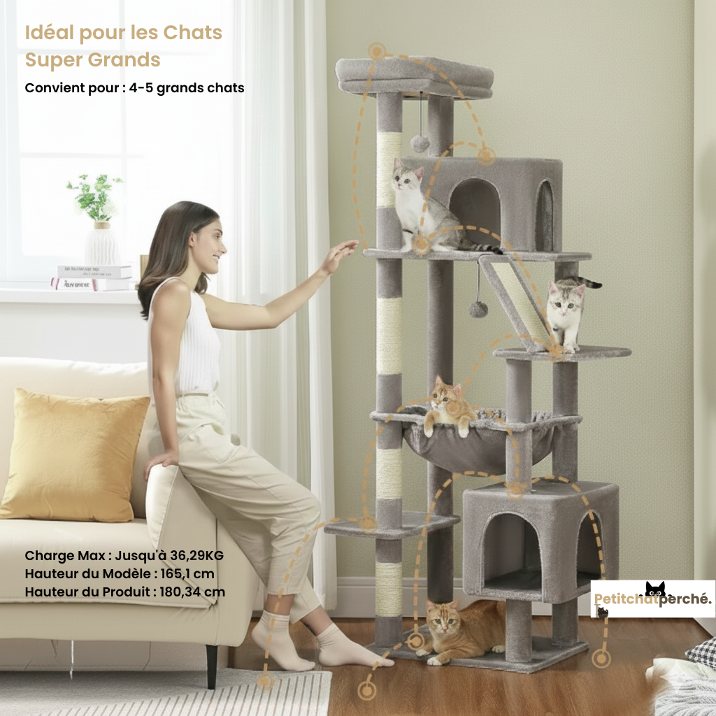 Arbre à chat : La Tour Royale 180
