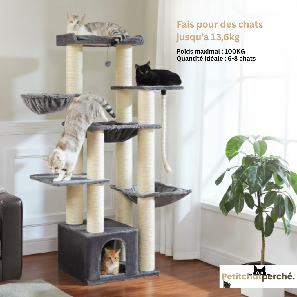 Arbre à chat : Le Refuge Cocooning Familial