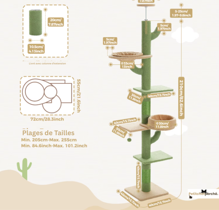 Arbre à chat : L'Arbre Cactus Géant