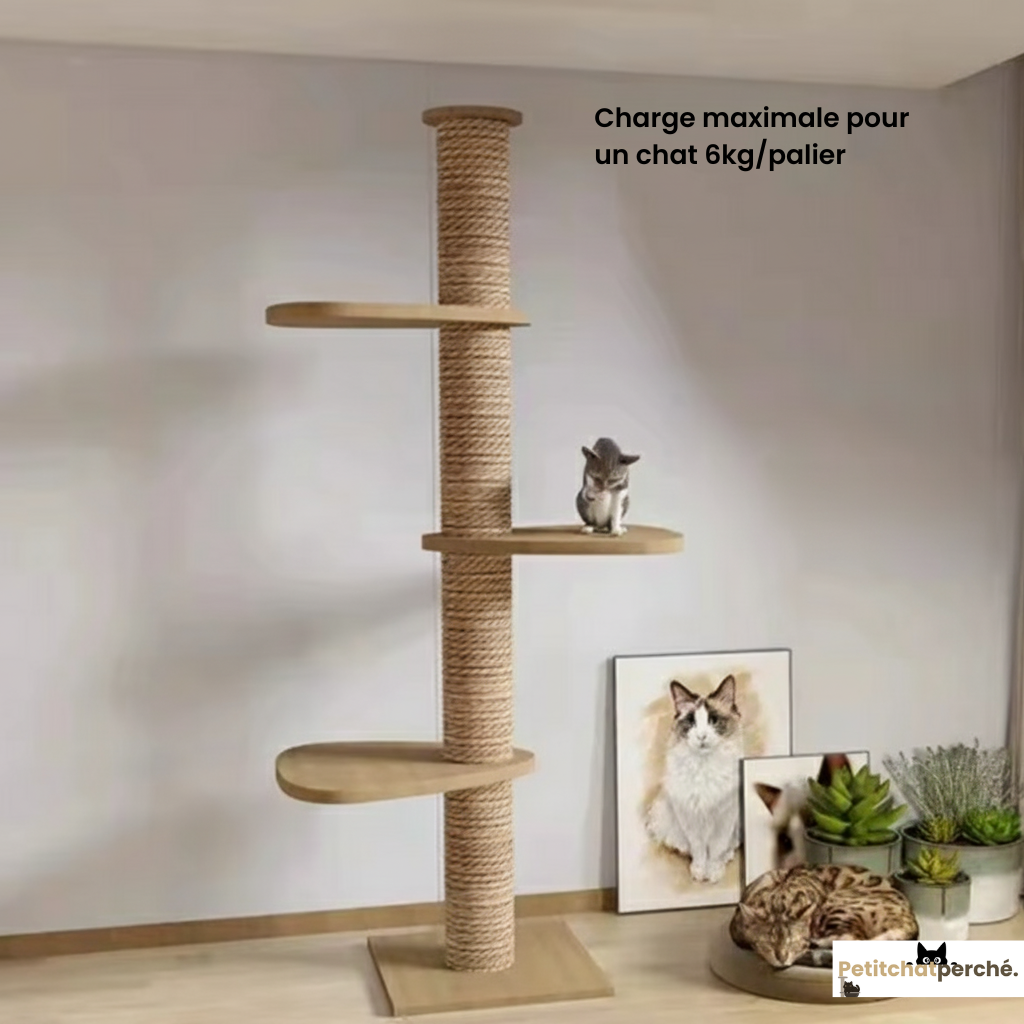 Arbre à chat : Le Poteau SkyLuxe