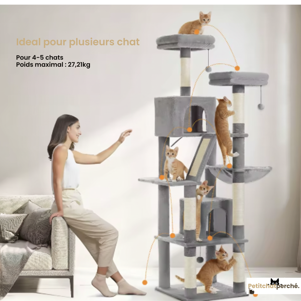 Arbre à chat : Le Refuge Panoramique Duo