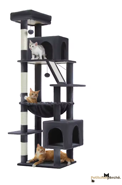 Arbre à chat : La Tour Royale 180