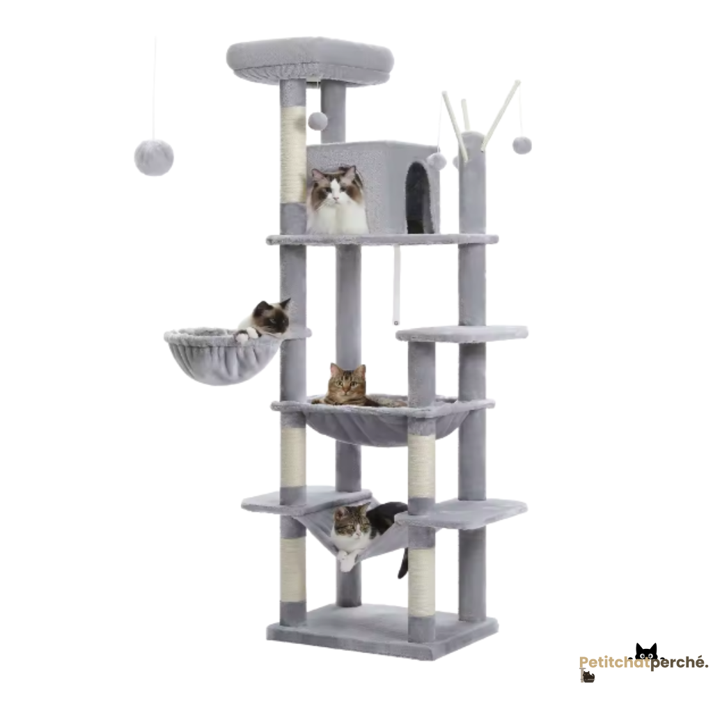 Arbre à chat : L'Hôtel des Félins