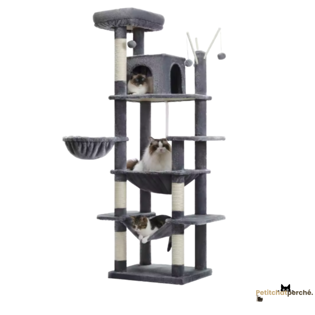 Arbre à chat : L'Hôtel des Félins