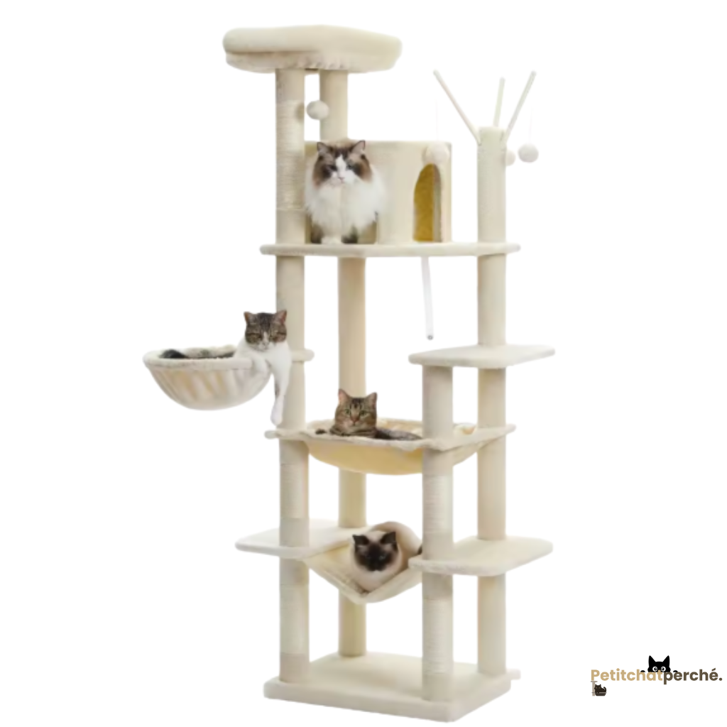 Arbre à chat : L'Hôtel des Félins