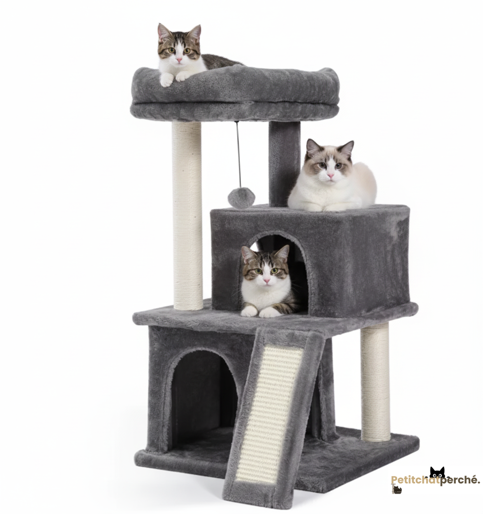 Arbre à chat : Le Duplex Félin