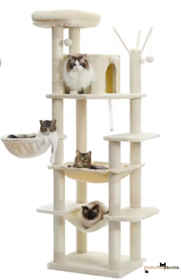 Arbre à chat : L'Hôtel des Félins