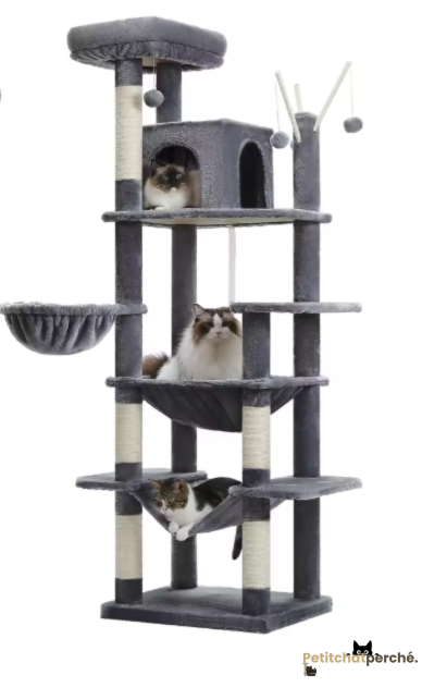 Arbre à chat : L'Hôtel des Félins