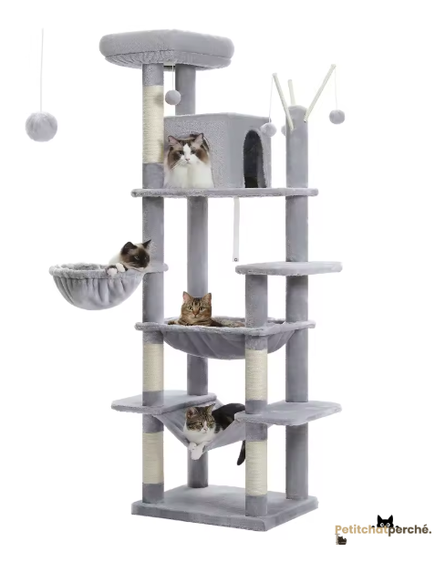 Arbre à chat : L'Hôtel des Félins