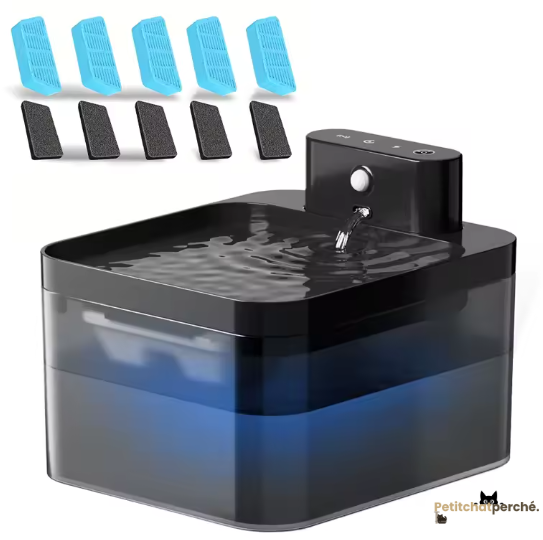 Fontaine à eau Chat : L'Hydratation Clear-View