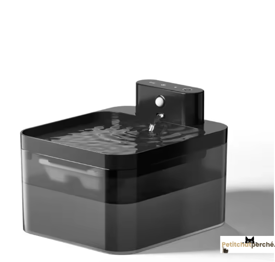 Fontaine à eau Chat : L'Hydratation Clear-View