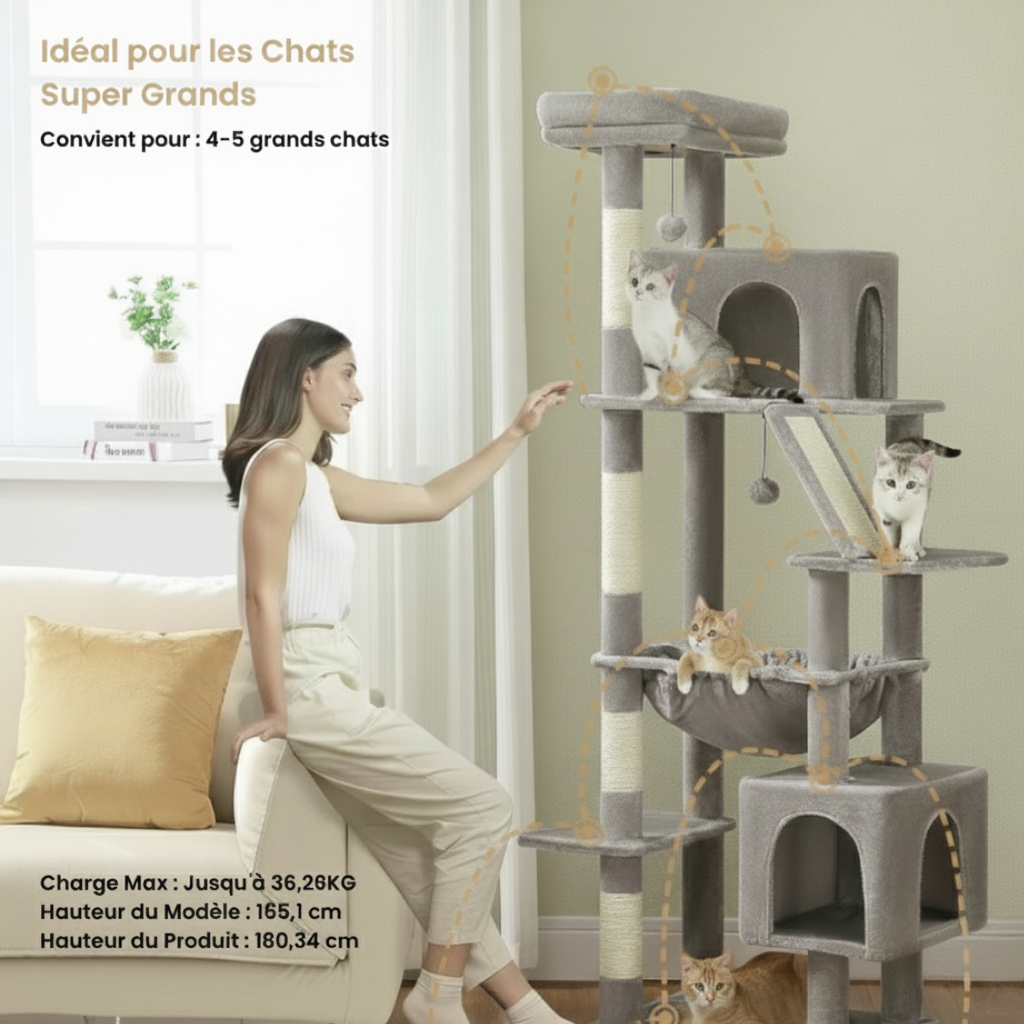 Arbre à chat : La Tour Royale 180